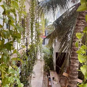 https://anana-coliving.tulum-hotels.net